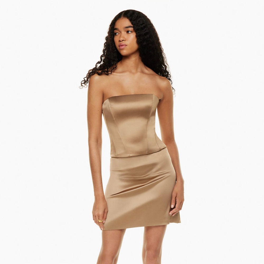 Aritzia Wilfred Tavern Skirt